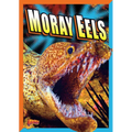 Moray Eels - Library Binding