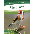 Finches - Paperback