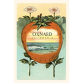 The Vintage Journal Strawberry with Ocean Scene Inside, Oxnard, California - Paperback