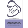 Pregnancy and New Motherhood in Prison - Hardcover