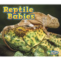 Reptile Babies - Paperback