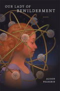 Our Lady of Bewilderment: Poems - Paperback