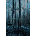 The Fading Place - Paperback
