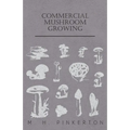 Commercial Mushroom Growing - Paperback