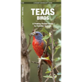 Texas Birds: A Folding Pocket Guide to Familiar Species