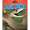 Black Mamba - Library Binding