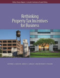 Rethinking Property Tax Incentives for Business - Paperback