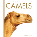Camels - Paperback