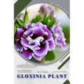 Gloxinia Plant: Plant Guide - Paperback