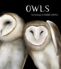 Owls: The Paintings of Jeannine Chappell - Hardcover