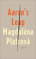 Aaron's Leap - Paperback