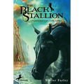 The Black Stallion - Hardcover