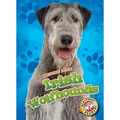 Irish Wolfhounds Irish Wolfhounds - Library Binding