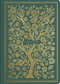 ESV Illuminated Scripture Journal: Jeremiah - Paperback