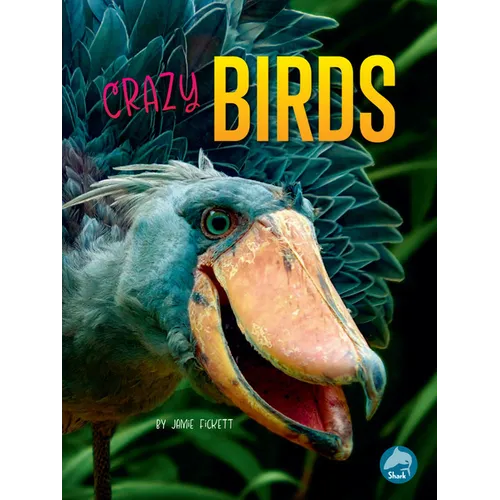 Crazy Birds - Hardcover
