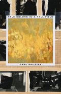 Pale Colors in a Tall Field: Poems - Paperback