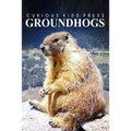 Groundhogs - Curious Kids Press: Kids book about animals and wildlife, Children's books 4-6 - Paperback