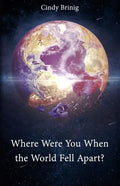 Where Were You When the World Fell Apart? - Paperback