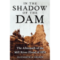 In the Shadow of the Dam: The Aftermath of the Mill River Flood of 1874 - Paperback