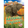 African Elephants - Library Binding