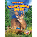 White-Tailed Deer - Library Binding