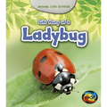 Life Story of a Ladybug - Paperback