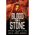 Blood from a Stone: A Time Travel Thriller - Paperback
