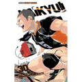Haikyu!!, Vol. 30 - Paperback