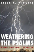 Weathering the Psalms: A Meteorotheological Survey - Paperback