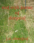 Real Irish Fairies of Donegal: Just Because You Don't Believe In Fairies Doesn't Mean They Don't Exist - Paperback