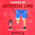 Wearing an Artificial Limb - Library Binding