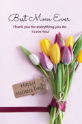 Best Mom Ever Mother's Day Journal: Happy Mother's Day Gift Book - Paperback