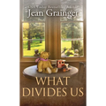 What Divides Us: The Kilteegan Bridge Story - Book 2 - Hardcover