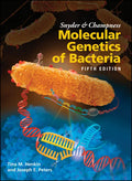 Snyder and Champness Molecular Genetics of Bacteria - Hardcover