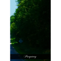 Purgatory: Illustrated By The Lives And Legends Of The Saints - Paperback