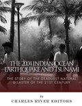 The 2004 Indian Ocean Earthquake and Tsunami: The Story of the Deadliest Natural Disaster of the 21st Century - Paperback