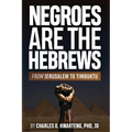 Negroes Are the Hebrews: From Jerusalem to Timbuktu - Paperback
