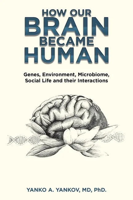How Our Brain Became Human: Genes, Environment, Microbiome, Social Life and Their Interactions - Paperback