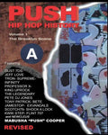 Push Hip Hop History: The Brooklyn Scene - Paperback