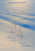 Through Disassembled Houses of Perfect Stones - Paperback