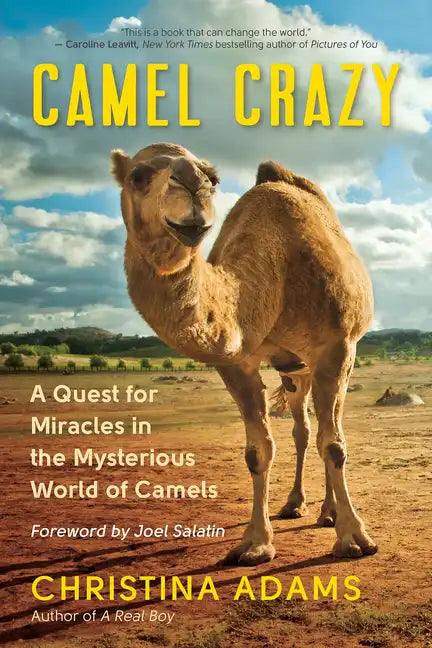 Camel Crazy: A Quest for Miracles in the Mysterious World of Camels - Paperback