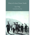 Diary of a Sent-Down Youth - Paperback