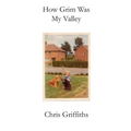 How Grim Was My Valley - Paperback
