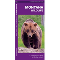 Montana Wildlife: A Folding Pocket Guide to Familiar Animals