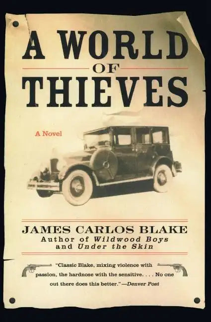 A World of Thieves - Paperback