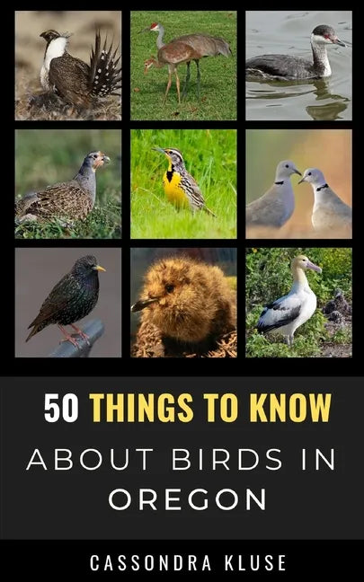 50 Things to Know About Birds in Oregon: Fun Facts About Birds of the Beaver State - Paperback