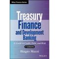 Treasury Finance and Development Banking, + Website: A Guide to Credit, Debt, and Risk - Hardcover