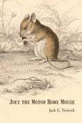 Joey the Motor Home Mouse - Paperback