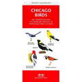 Connecticut Birds: A Folding Pocket Guide to Familiar Species