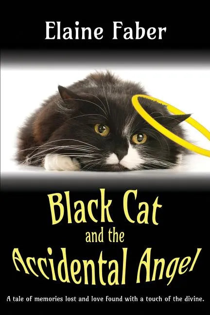 Black Cat and the Accidental Angel - Paperback